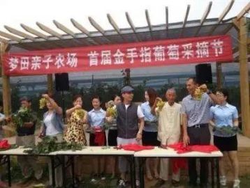讓休閑農(nóng)業(yè)莊園頭疼的營銷策劃：你需要一個(gè)動(dòng)聽的好故事